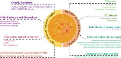 Genetic insights and emerging therapeutics in diabetic retinopathy: from molecular pathways to personalized medicine